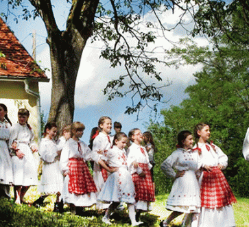 Obljetnica hrašćinskog meteorita